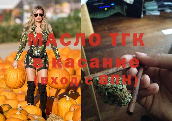 эйфоретик Няндома
