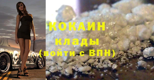 гашик Алзамай